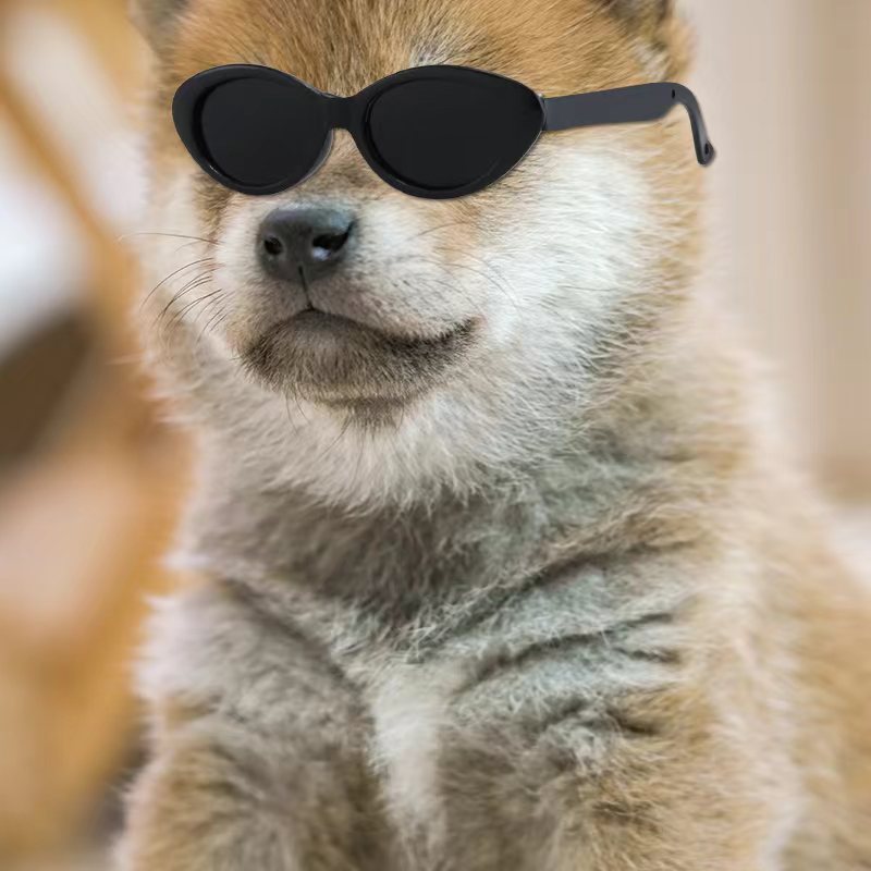 doll sunglasses pet sunglasses doll doll children's toy accessories doll glasses cotton doll glasses