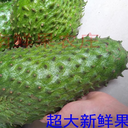 [Crown Store] Wild Thorn Fruit Annona Red Durian Tropical Fresh Fruit Red Cascarilla 3kg Free Shipping