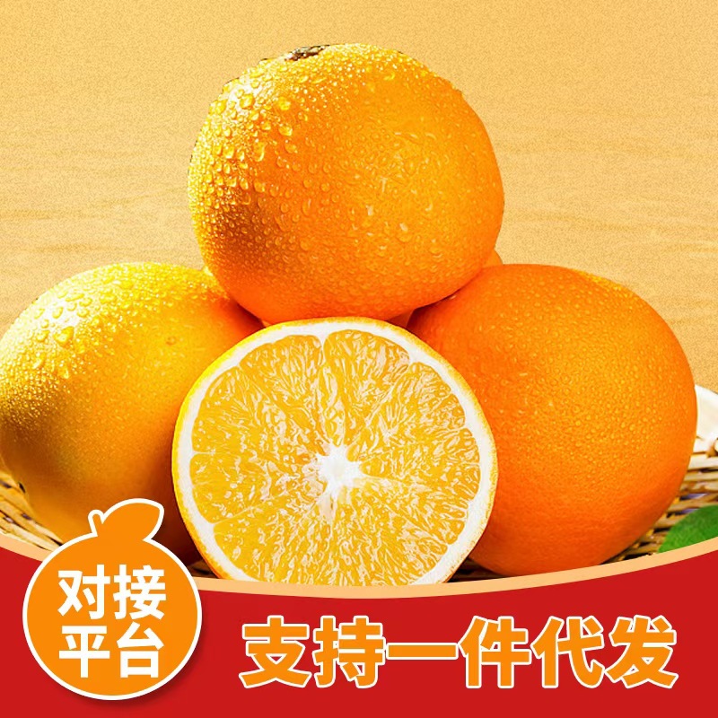 Jiangxi Authentic Gan Nan Navel Oranges Fresh Vitamin C Fruit Seasonal Premium Whole Box 10kg 20 Gift Box Oranges Wholesale