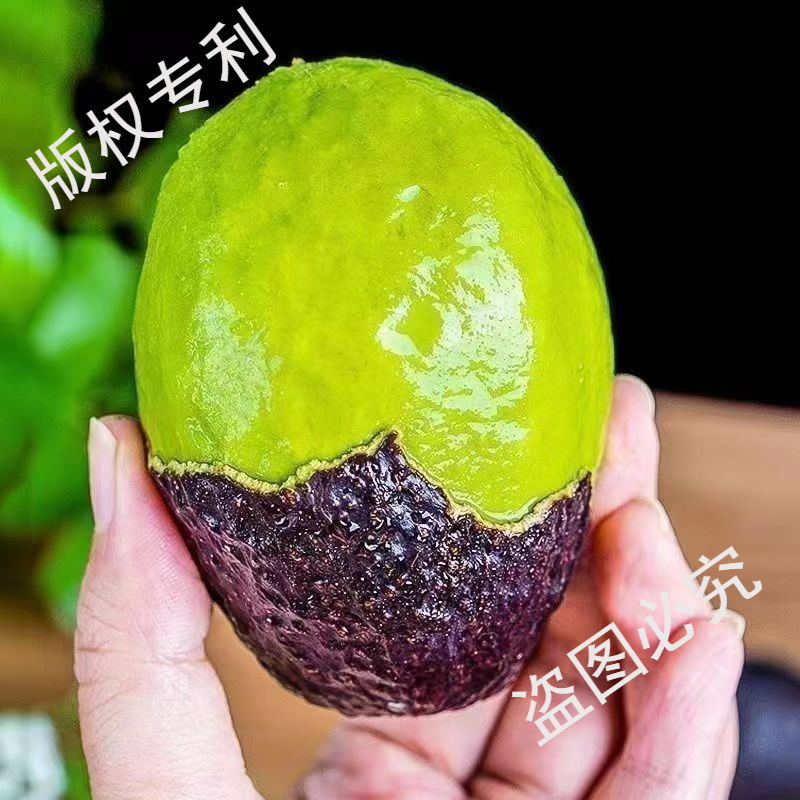 Peruvian Hass Avocados 10 Fresh Fruits Seasonal Whole Box Free Shipping First-Class Avocado Imported Food Supplement Cream