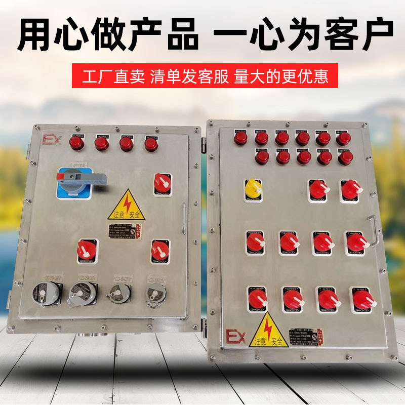 Stainless Steel Explosion-Proof Distribution Box Dust Gas Petroleum Factory Ready-Made Explosion-Proof Bt6 Explosion-Proof Control Box