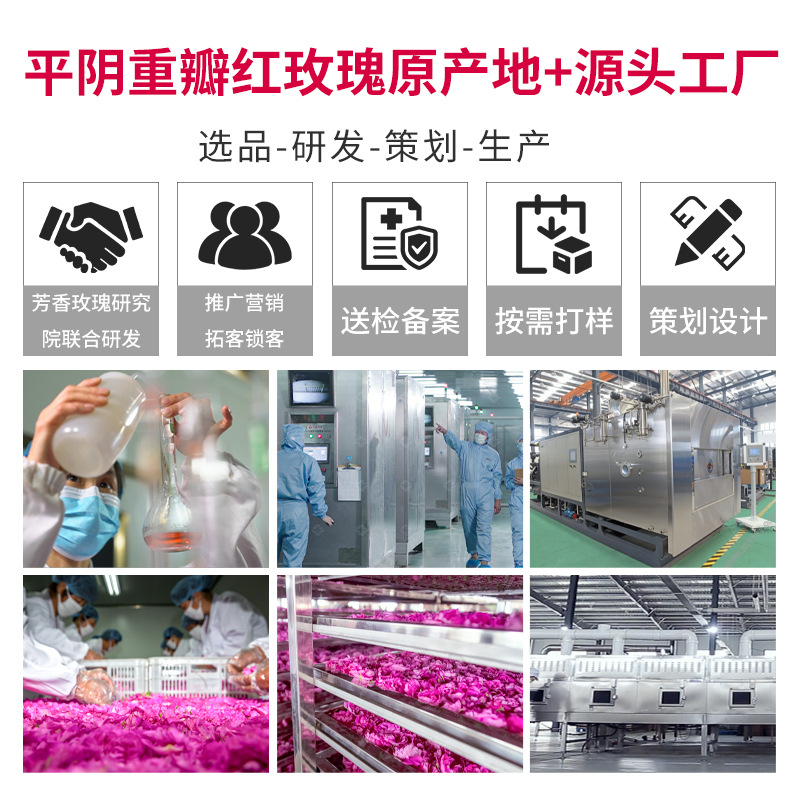 Raw materials wholesale Shandong Pingyin rose essential oil pure dew large bottle of liquid rose toner double red rose