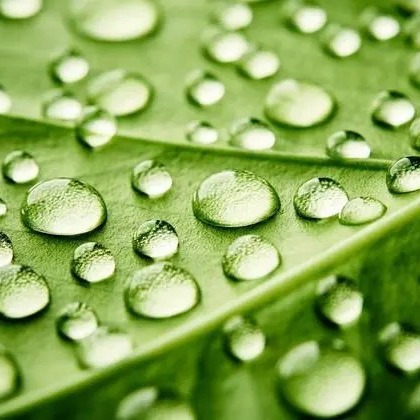 Waterproof Oil-proof Aid Paper Glue Applicator Surface Glue Applicator for Paper Carton