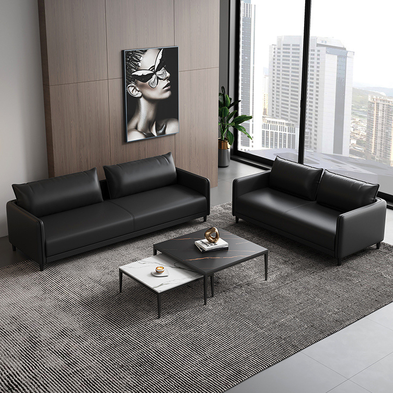 Simple Small Apartment Sofa Office Home Living Room Rental Clothing Store Double or Three Person Modern Cat Scratch Leather Sofa