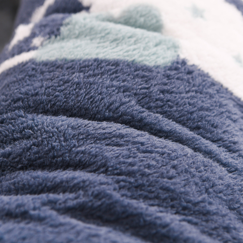 Cross-border Lamb Fleece Printed Mattress Arctic Fleece Thickened Mattress Coral Fleece Student Dormitory Single Double Household Quilt