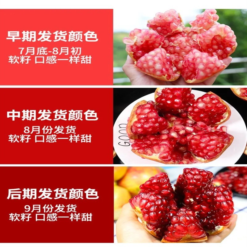Sichuan Huili Tunisian Soft Seed Pomegranate Fresh Fruit Gift Employee Welfare Gift Box One Piece Free Shipping