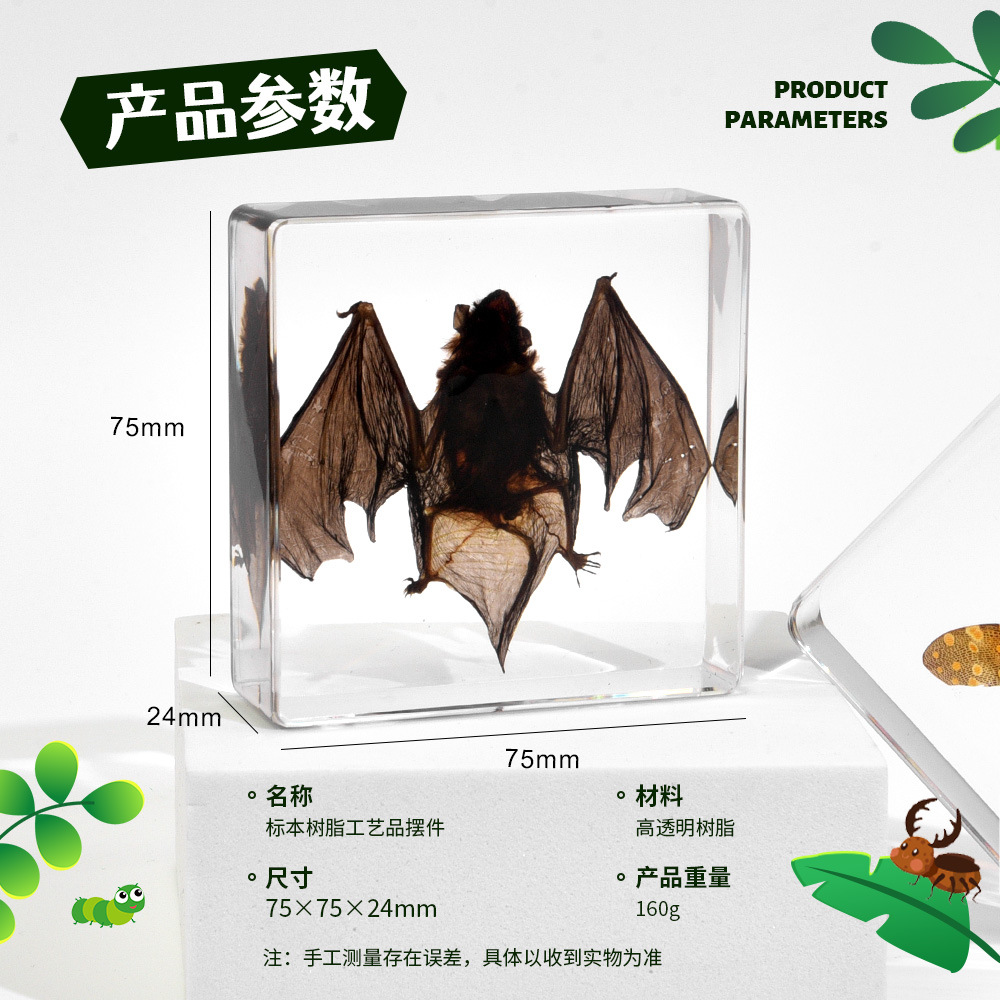 Экспонат Летучей Мыши Учебные Орнаменты Хит Кросс-Бордер Зарубежная Торговля Книжный Город Новые Подарки Смоляные Ремесла Студент Учебные Осознания