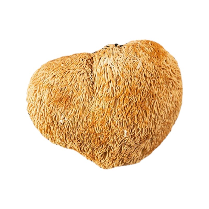 Yunnan specialty dry goods Hericium erinaceus origin wholesale small and large edible mushroom 0.50kg a bag of large favorably delicious