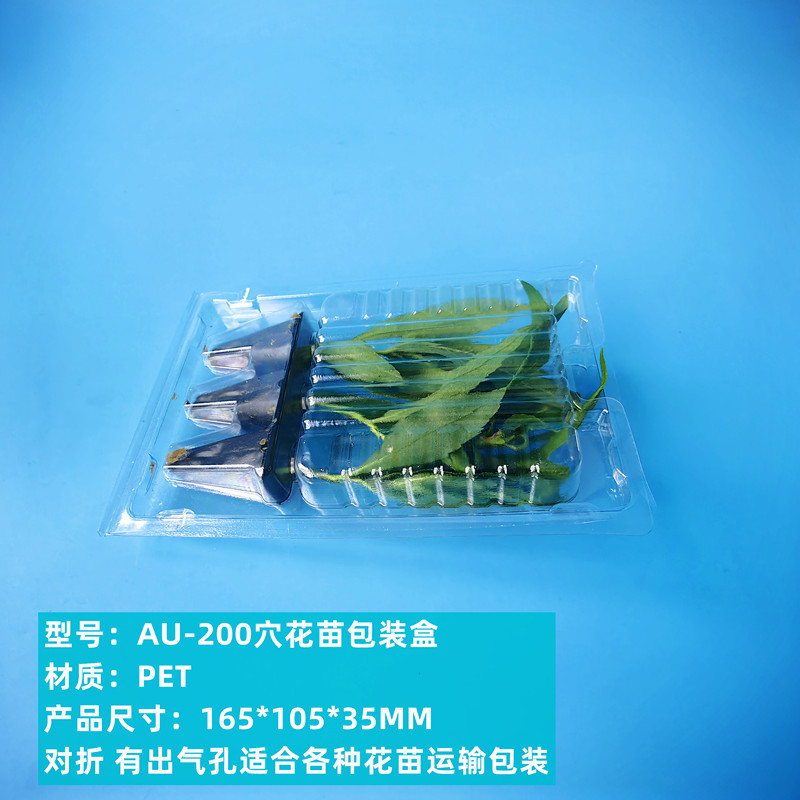 Seedling potted transport box flower seedlings pet blister bubble shell packaging box manufacturers wholesale flower seedlings transport packaging box