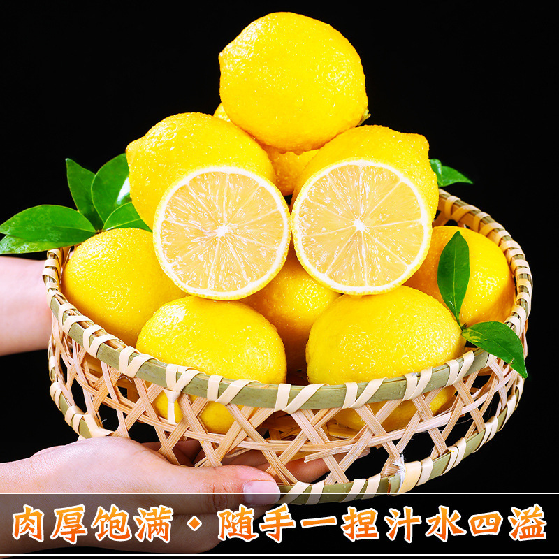 Freshly Picked Seedless Thin-Skinned Premium Perfume Sweet Lemon Green from Anyue, Sichuan, Specifically for Milk Tea Shops