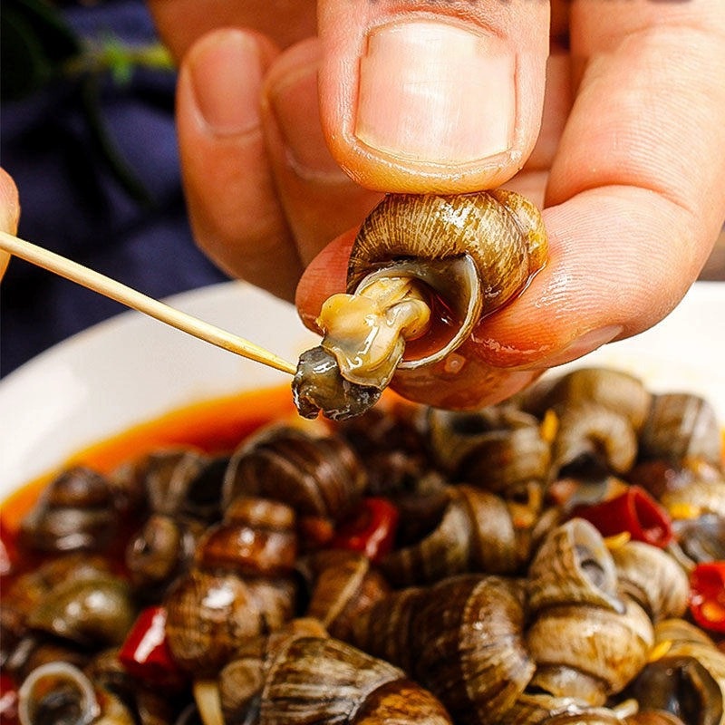 Pengji Chushan Snails 500g Spicy Flavor Snails Catering Late Night Snack Barbecue Shop Semi-Finished Ingredients Fried Snails