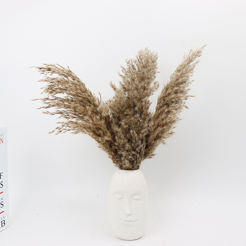 Amazon cross-border hot dried flowers small reed factory wholesale wedding props bouquet with window decoration shooting