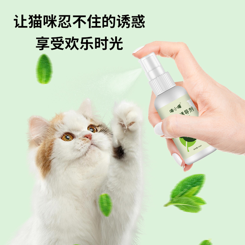 Catnip Spray Cat Toy Inducer Cat Happy Water Funny Cat Spray Catnip Spray Manufacturer Wholesale