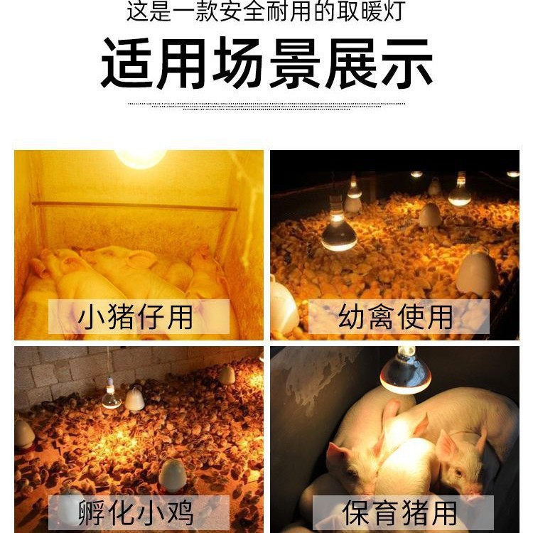 Thickened Heat Lamp, Waterproof Infrared Breeding Heat Lamp Specifically for Pigs and Chicks, 275W Bathroom Heater Heating Bulb