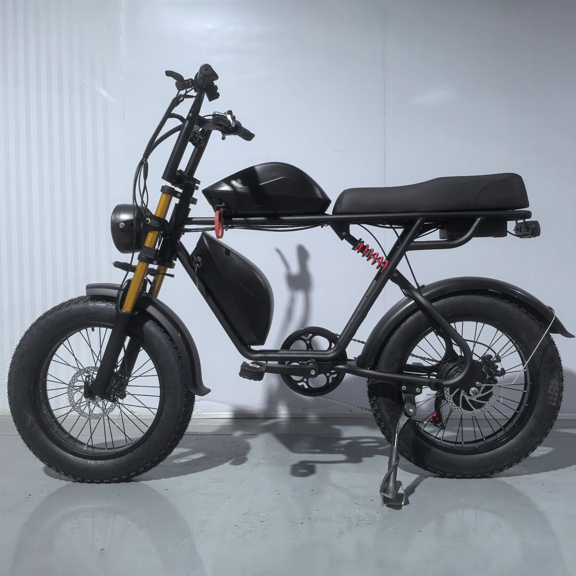 Manufacturer Batch 20inch Electric Bicycles, Snowmobiles, Wide Tires, Dual Battery Electric Assist Electric Motorcycles