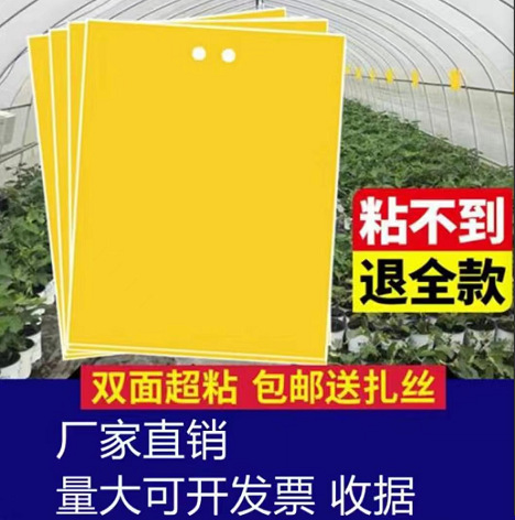 Yellow Board Double-Sided Insect Trap Blue Board/Greenhouse Orchard Tea Garden Fruit Fly Thrips Whitefly Board
