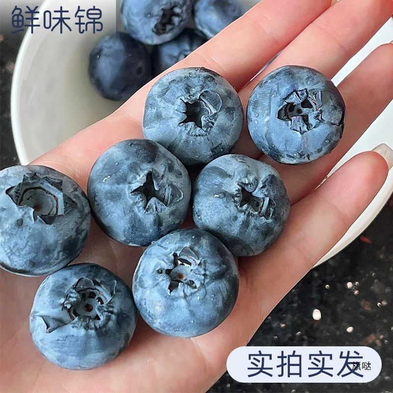 Blueberry Fresh Fruit Blueberry Fresh lL25 Flower Fragrance Non-Yunnan Blueberry High-end Fruit Blueplum Gaoshan Yike Shunfeng