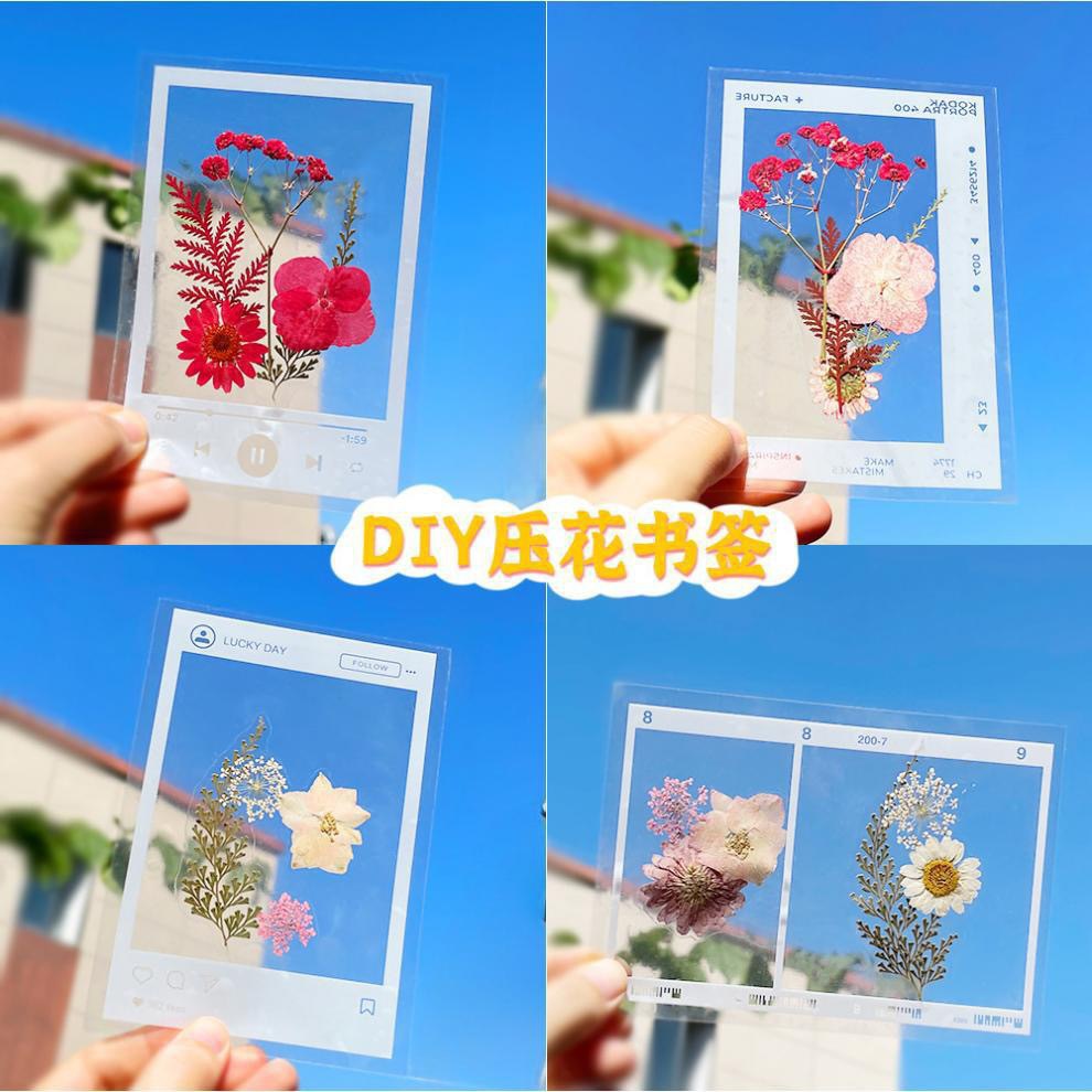 Creative Dried Flower Bookmark Handmade DIY Transparent Small Bottle Embossed Sticker Package Student Homemade Plant Specimen Clip Sticker