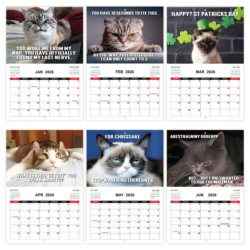 Cross-Border New Product 2026 Pissed-Dff Cats Angry Cat Calendar Wall Horse Riding Nail Calendar Ready for Sale