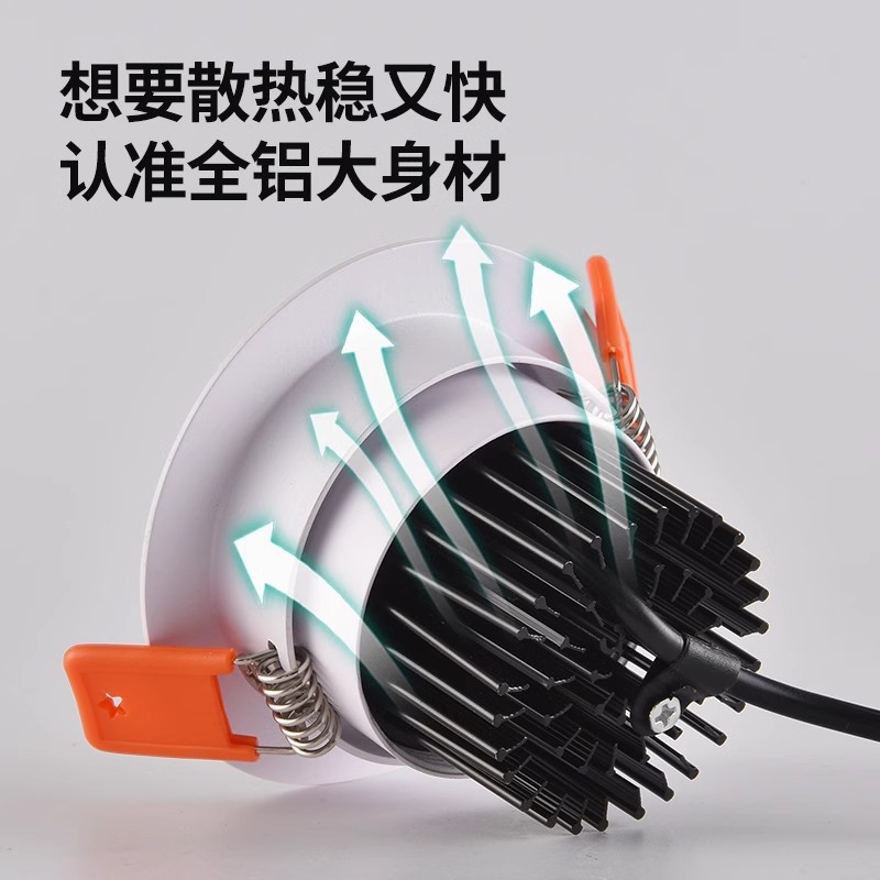 Rainbow Hill Spotlight Embedded Downlight Led Double Eyelid Ceiling Light Living Room Without Main Light Full Spectrum Lamp