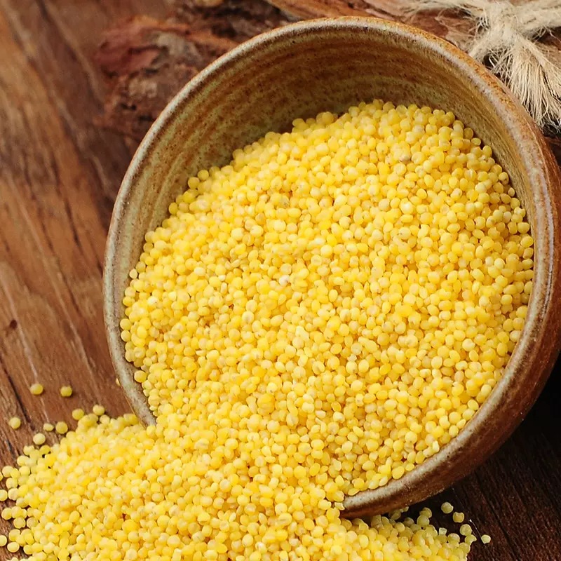 Northeast Black Soil Organic Yellow Xiao Mi 500g 0.5kg Vacuum Whole Grains Whole Grains New Rice Xiao Mi Porridge Manufacturer Wholesale