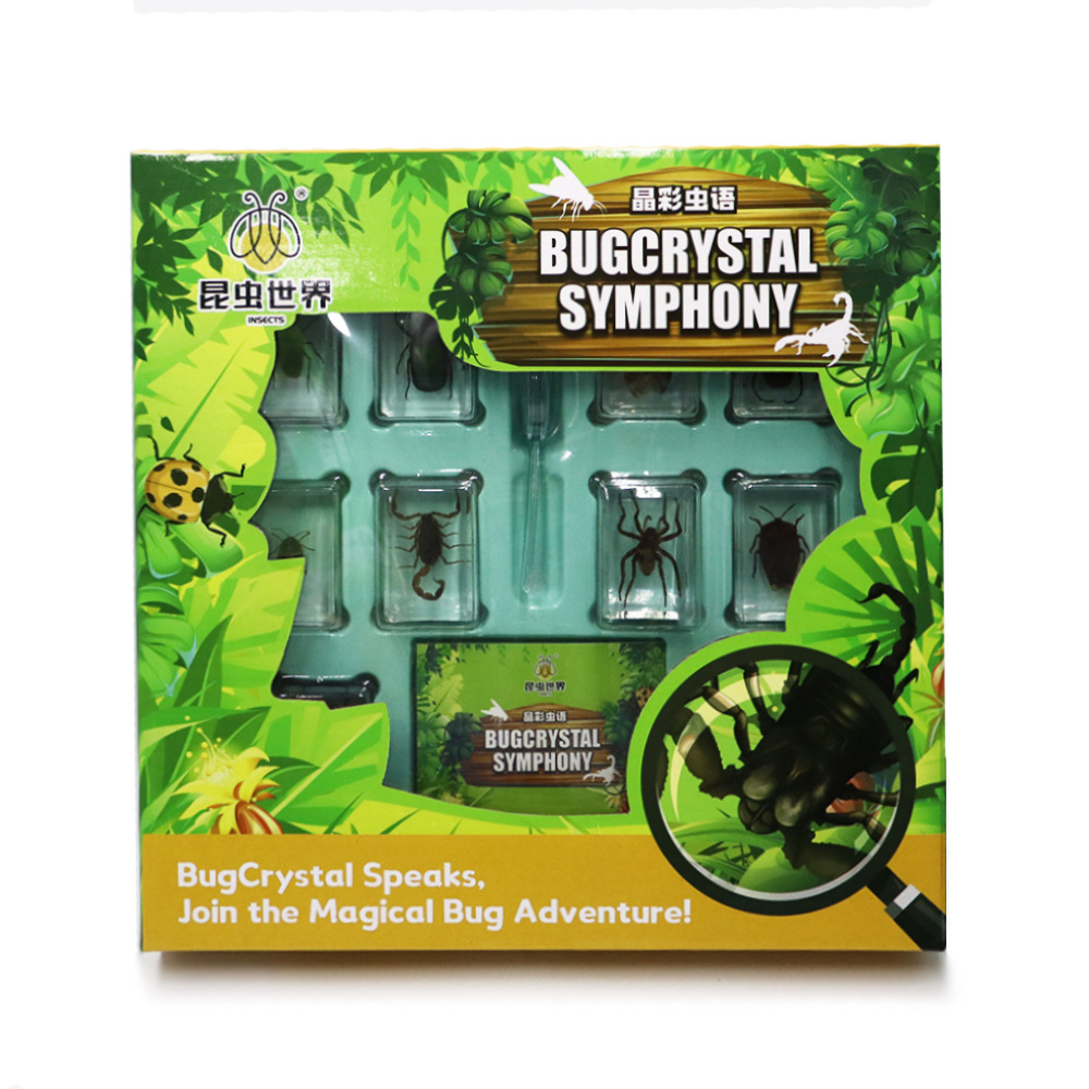 Real Insect Specimen Children's Educational Toy Set Collectible Desktop Ornament Birthday Gift Box Holiday Gift