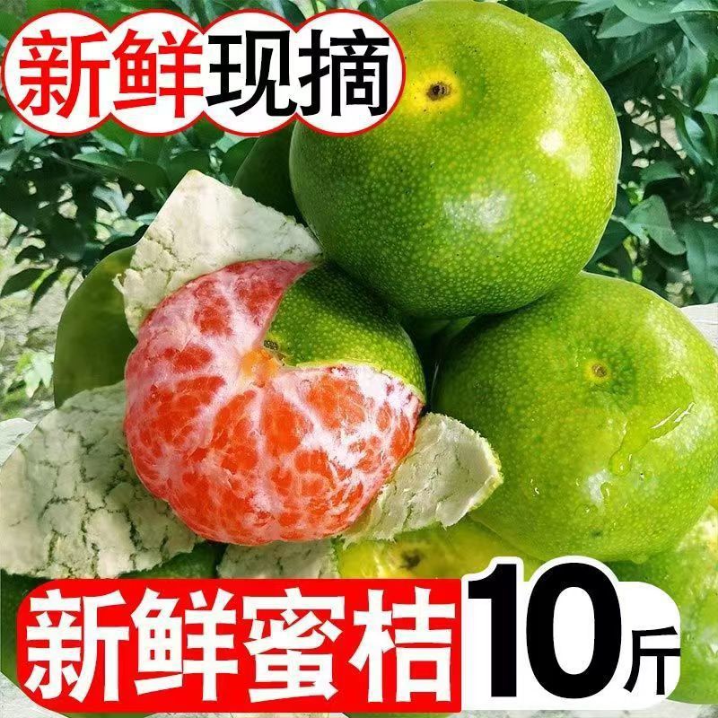 Свежесобранные зеленокожие мандарины, свежие апельсины, сладкие и кислые тонкокожие цитрусовые для беременных, оптовая продажа