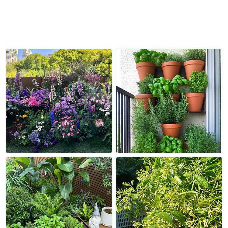 Mosquito Repellent Plants Indoor Mint Potted Outdoor Insect Repellent Four Seasons Lavender Plants Balcony Green Plants Florals Geranium