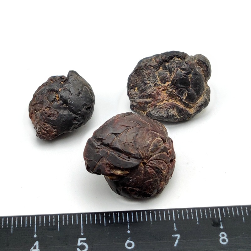 50 kinds of rock specimens raw stone wholesale volcanic magnesite graphite Mica pumice granite basalt