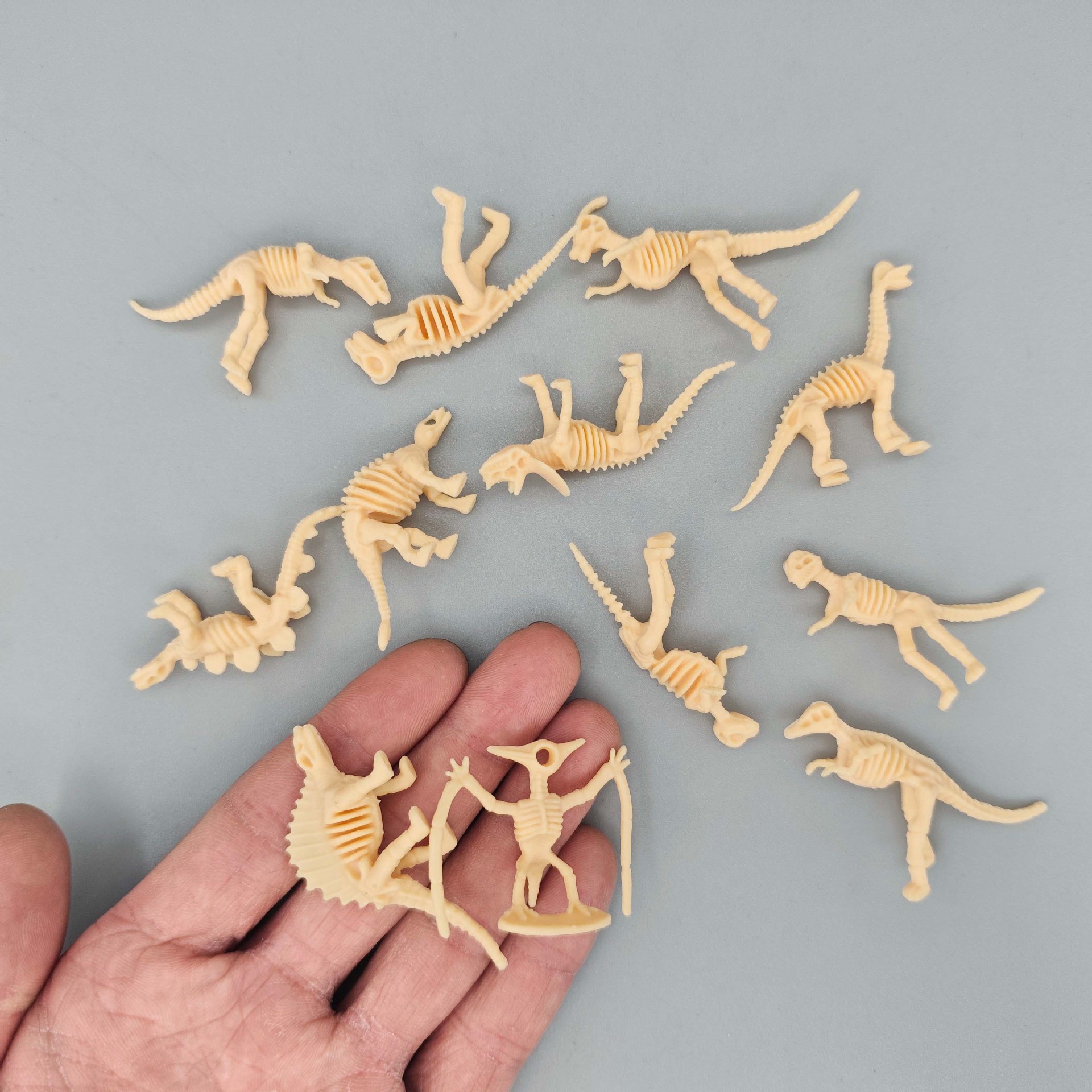 [Mini] dinosaur skeleton archaeological excavation fossil DIY dinosaur model children's toy Tyrannosaurus Rex Triceratops