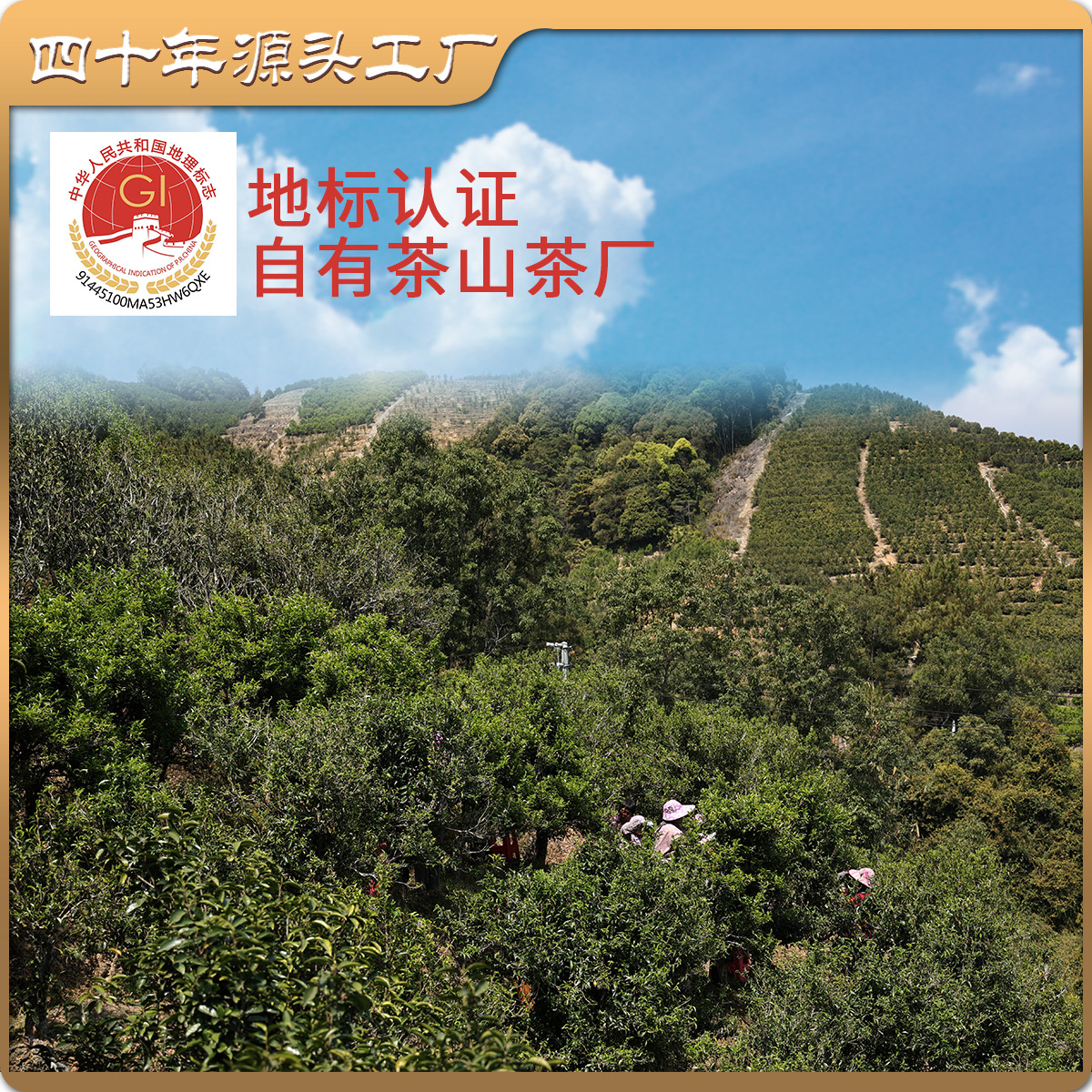 Handmade Lemon Tea Duck Shit Bergamot Milk Tea Special Commercial Ingredients Phoenix Dancong Tea Head Strong Aroma Type