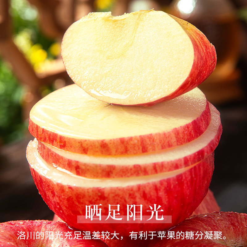 Yantai Red Fuji Apple 10 Should Season Jin Fresh Fruit Whole Box Shandong Qixia Crisp Sweet Candy Heart Ugly Flat Fruit