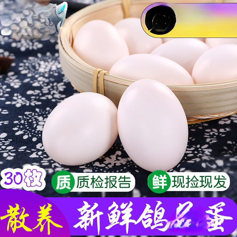Pigeon Eggs, 15-60 Free-Range Pigeon Eggs Gift Box for Pregnant Women, Farm Fresh Large High-Quality 60 Pieces 1