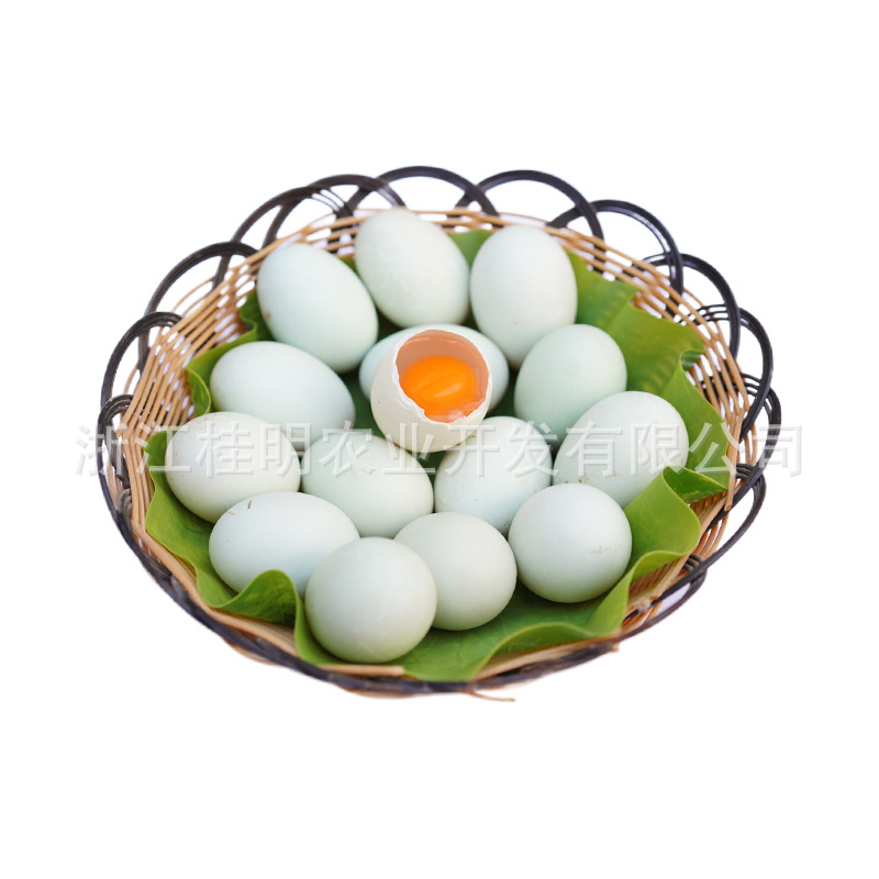 Organic Flying Duck Eggs