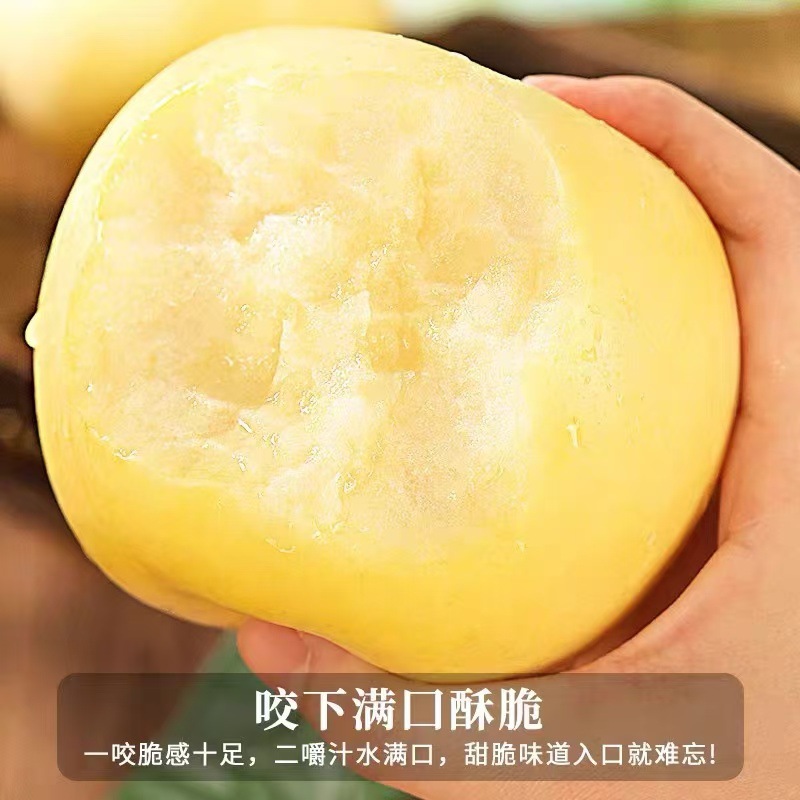Authentic Yantai Golden Cream Fuji Apple Fresh Fruit Seasonal Rock Candy Heart Crisp, Sweet and Juicy Whole Box Wholesale