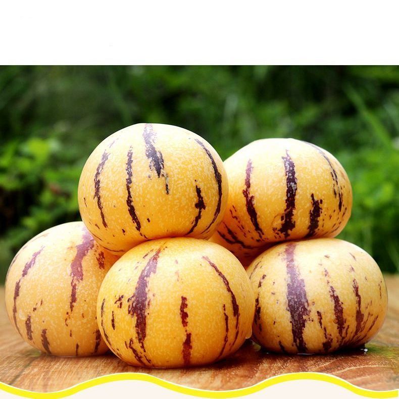Yunnan Colorful Ginseng Fruit, Large Fruit, Yellow Flesh, Seasonal Red Skin, Stone Forest Yellow Fruit for Pregnant Women, Milky Fresh Seasonal Fruit