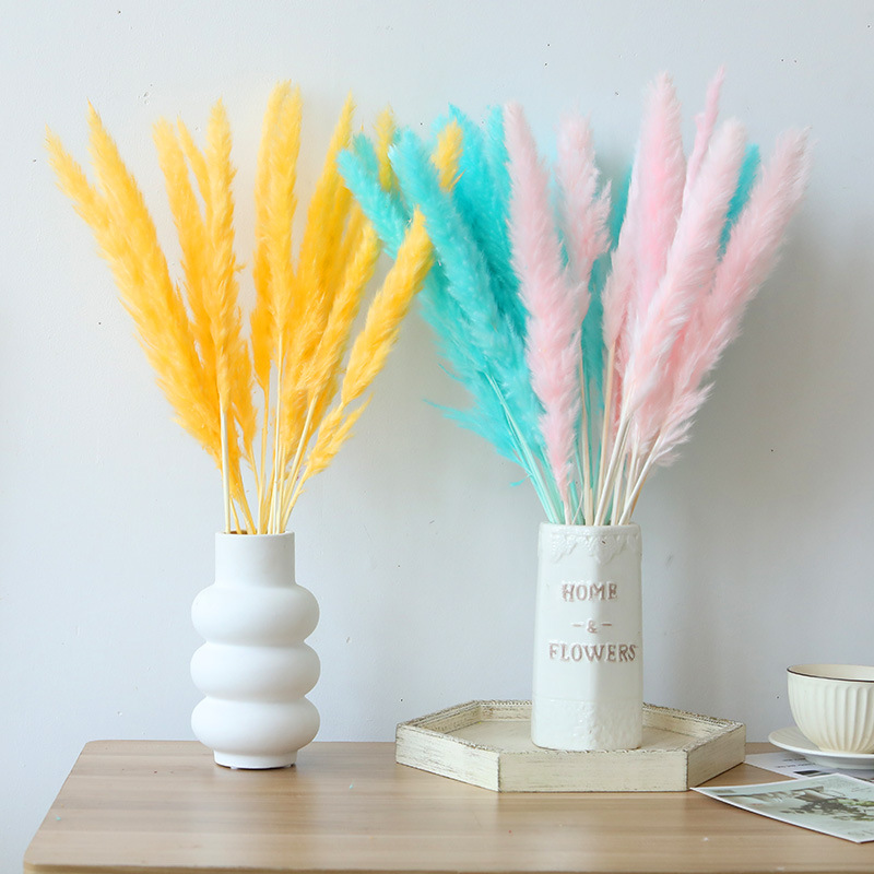 Wholesale Small Reed Everlasting Flowers, Bulrush Reeds, DIY Ornaments, Pampas Grass, Small Dusting Brushes, Dried Flowers, Air-Dried Plants