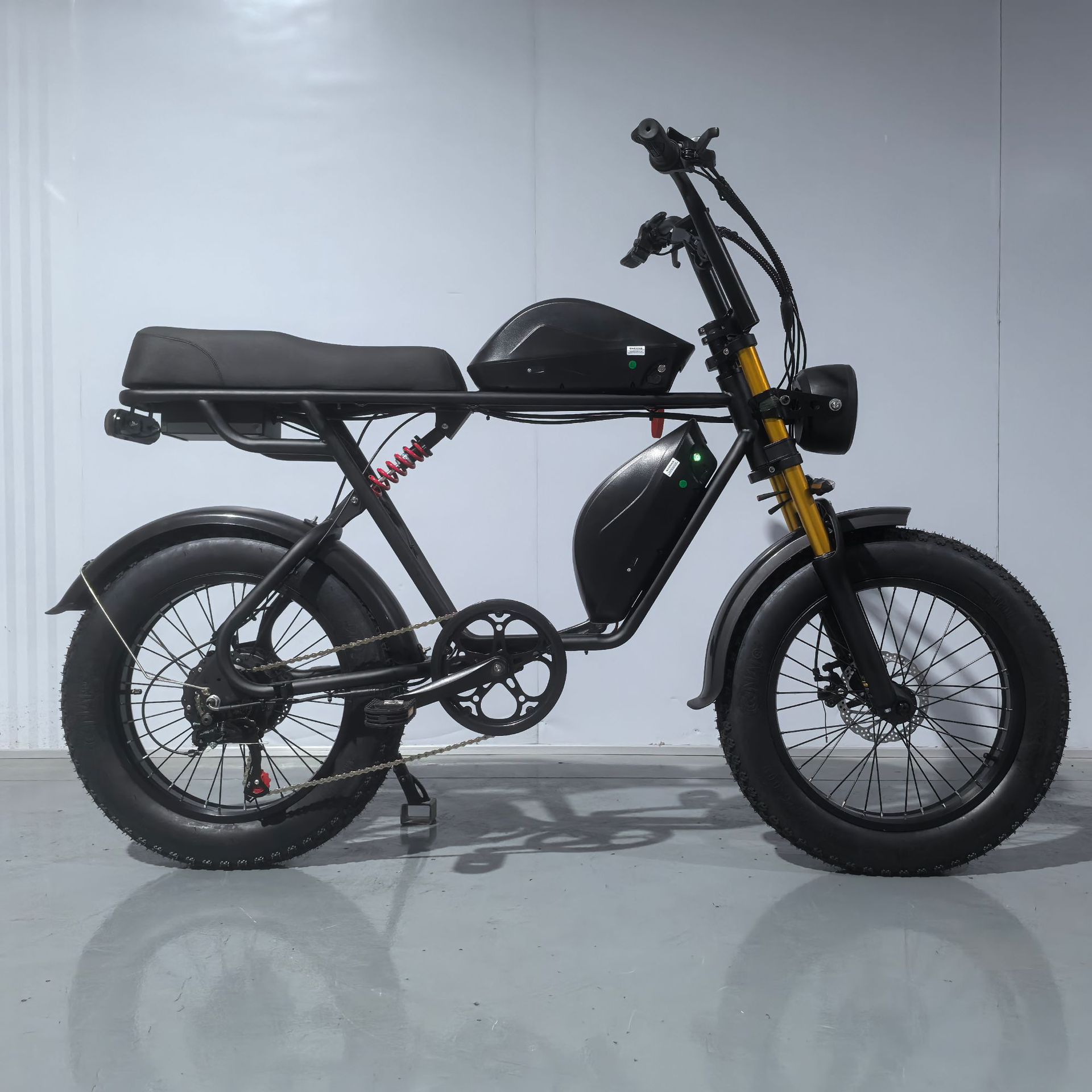 Manufacturer Batch 20inch Electric Bicycles, Snowmobiles, Wide Tires, Dual Battery Electric Assist Electric Motorcycles