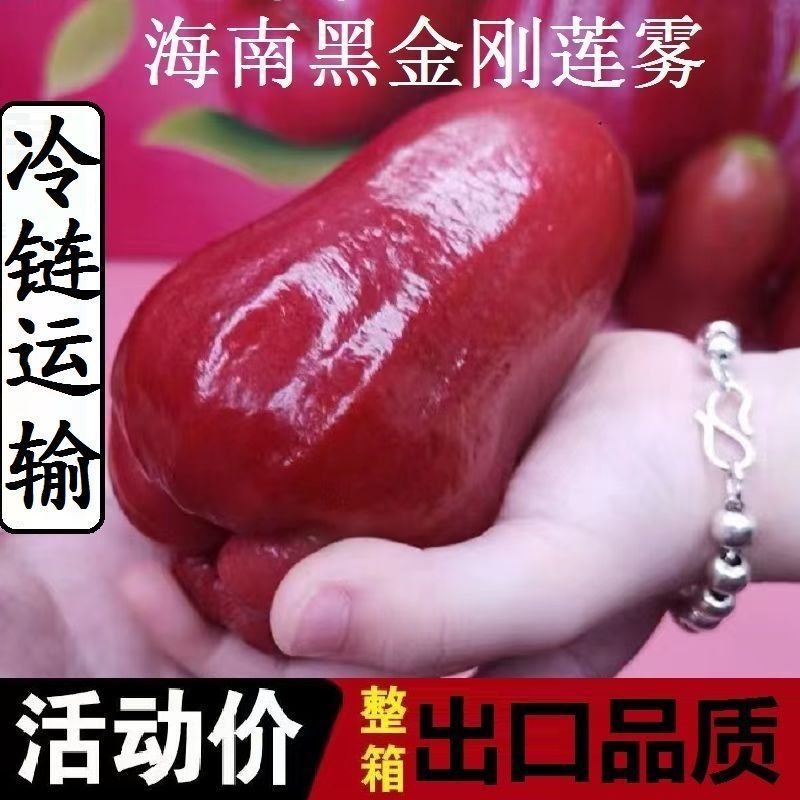 Хайнань Лотосовый туман 2.5кг свежие тропические фрукты Черный алмаз увлажняющие фрукты 0.5кг-1.5кг