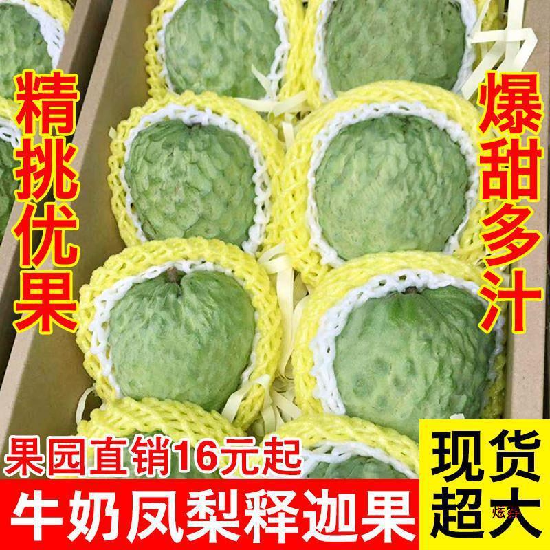 Freshly Picked Milk Pineapple and Soursop Fruit 2.5kg Fresh Soursop Fruit Tropical Fruit Large Fruit for Pregnant Women 1/3/10