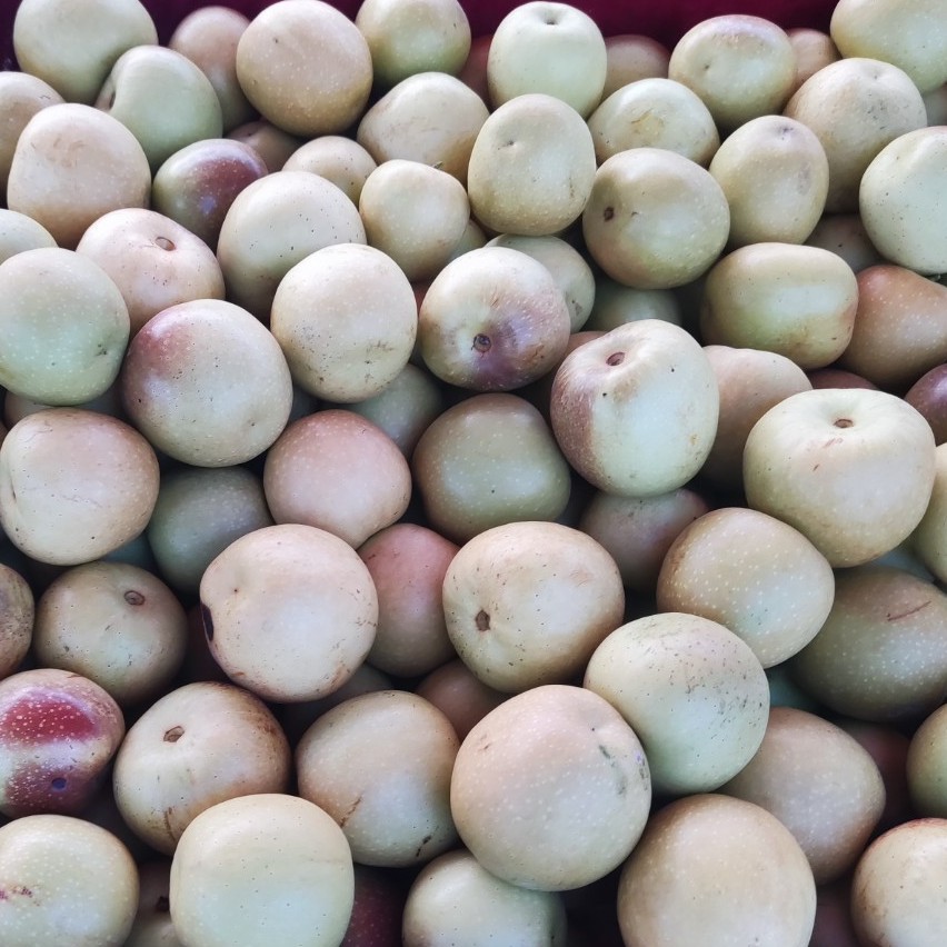 Shaanxi Dali Winter Jujube, 2/ 2kg Gift Box, Seasonal Crispy Jujube, Fresh Crispy Sweet Green Jujube, Red Jujube, Fruit for Pregnant Women