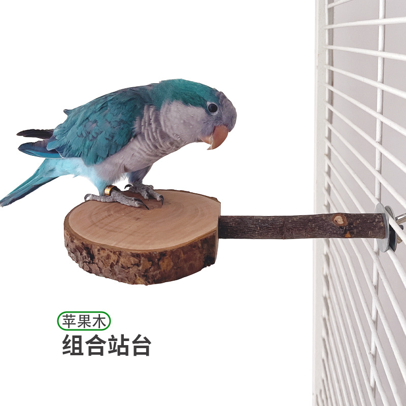 Подставка для попугаев платформа для пинг-понга из дерева для прыжков