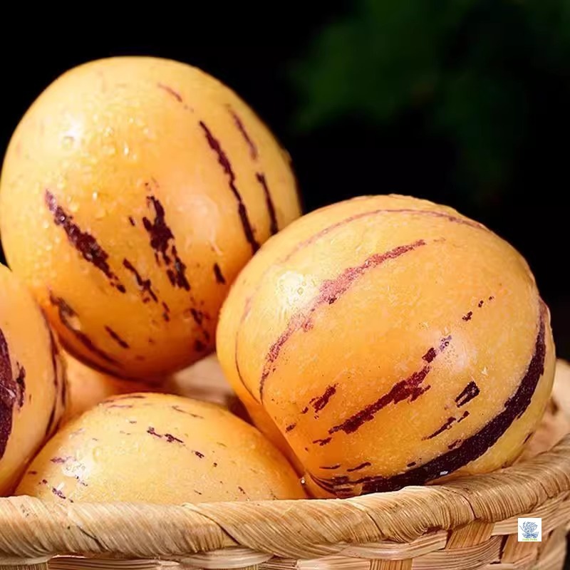 Authentic Yunnan Shilin Ginseng Fruit, Fresh Fruit, Ripe Yellow Flesh Round Fruit on the Tree, Freshly Picked and Shipped in the Season, Free Shipping in the Whole Box