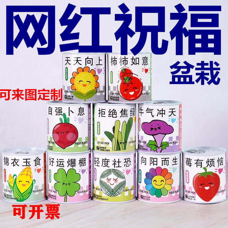 Children's Planting Can Potted Green Plants Blind Box Kindergarten Primary School Students Plant Growth Observation Germination Seeds