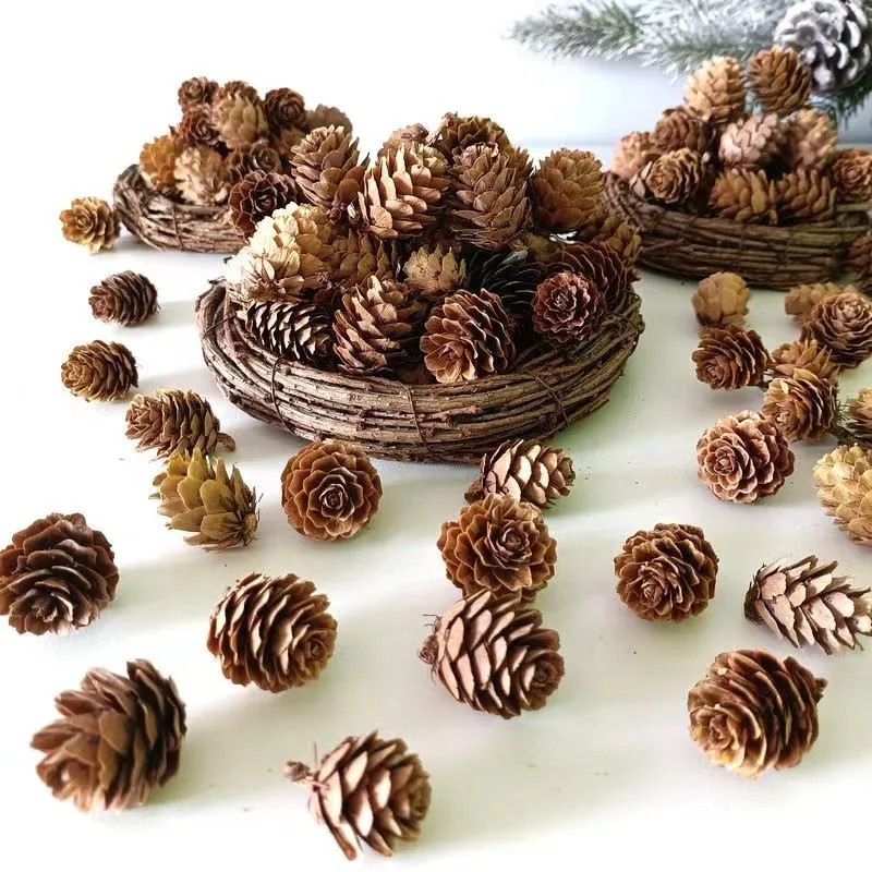 Шишка кедрового ореха один большой цветок Материалы для рукоделия Рождественское украшение реквизит для съемок