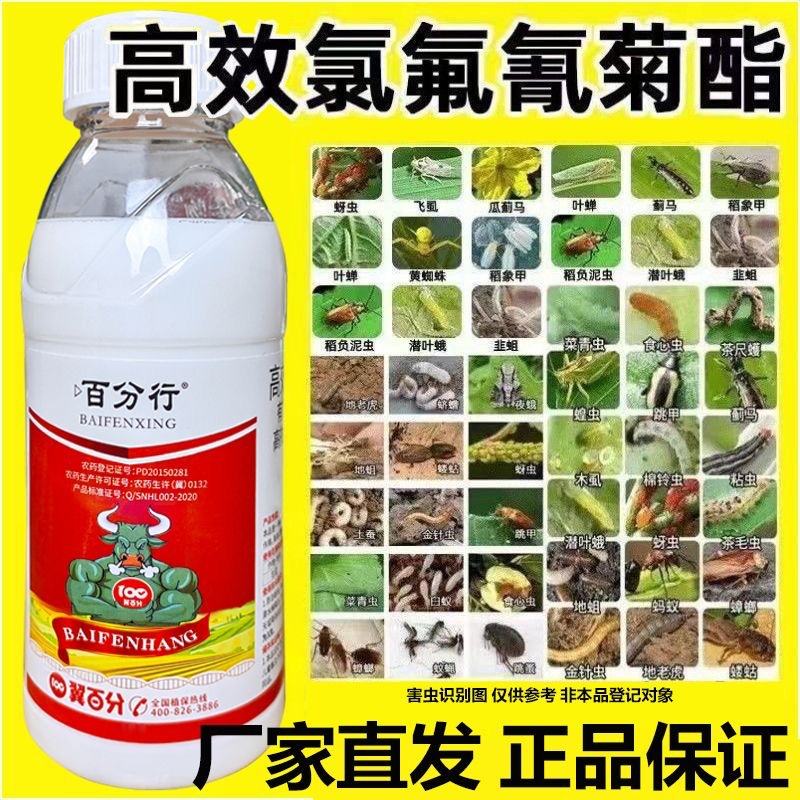 High-Efficiency Cypermethrin Fluorine Fruit Tree Flower Potted Cabbage Caterpillar Cabbage Aphid Special Medicine Insecticide Pesticide Genuine Medicine