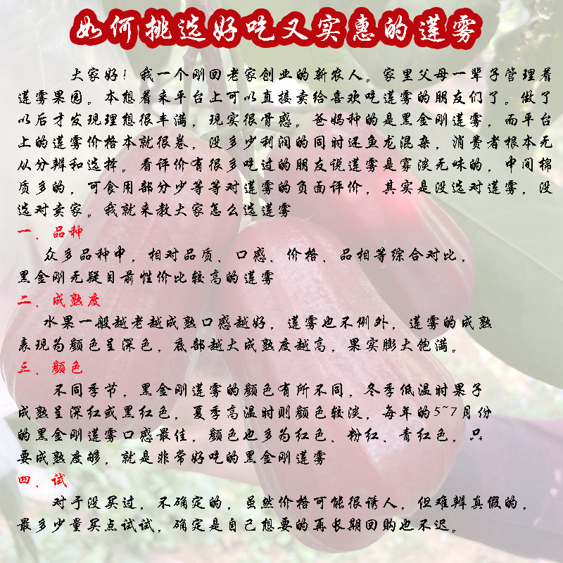 Seasonal Hainan Black Diamond Lotus Mist Premium Large Fruit, 5-6 Fruits Per Pound [Sf Express Free Shipping]