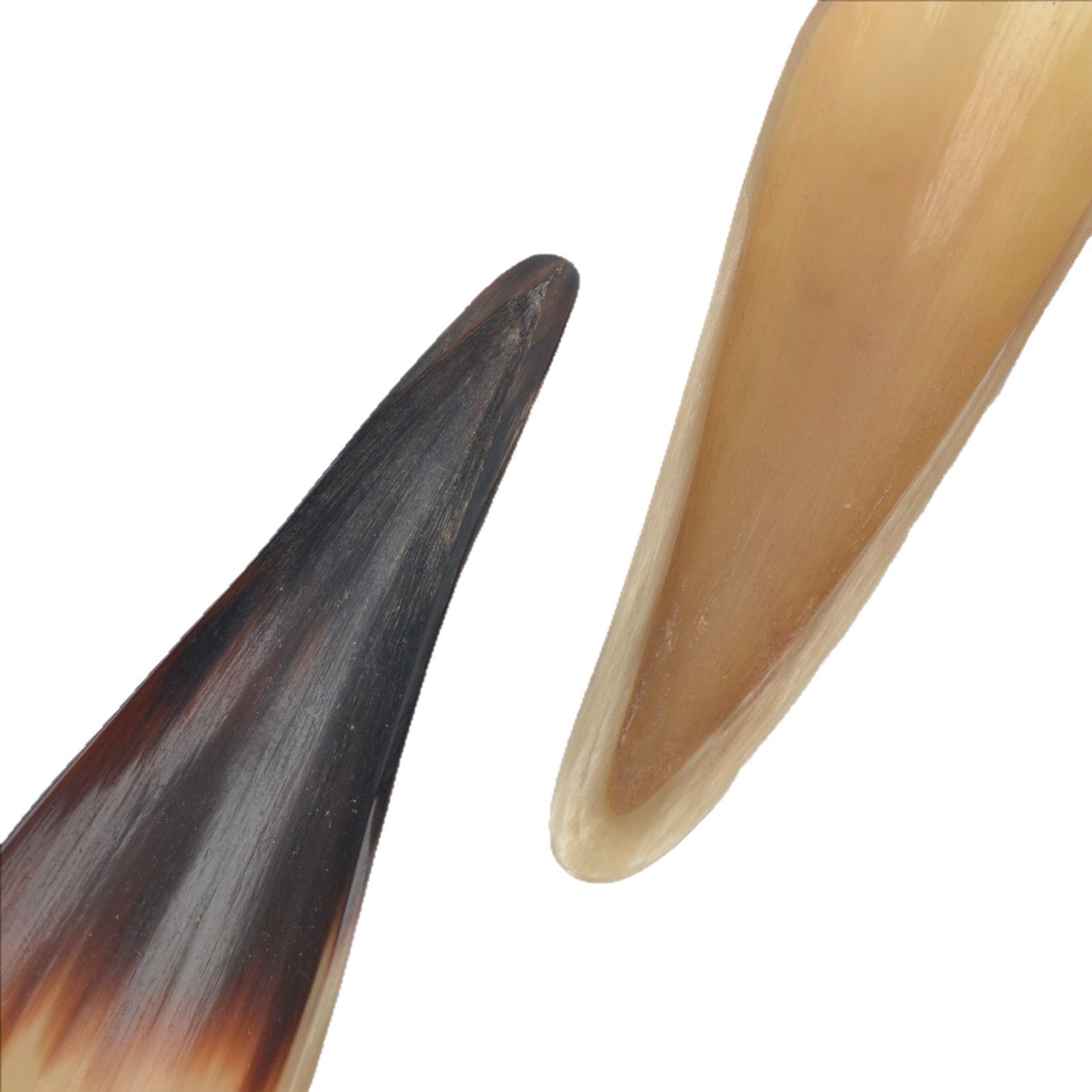 Horn Scraping Board Yellow Cattle Horn Half Scraping Color Different Length Different Real Cattle Horn 10 to 18cm