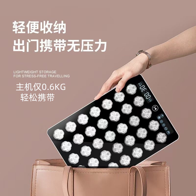 Cross-border Portable Red, Blue and Yellow LED Beauty Instrument Household Beauty Black Light Biological Light Source Red and Blue Light Physiotherapy Large Row Light