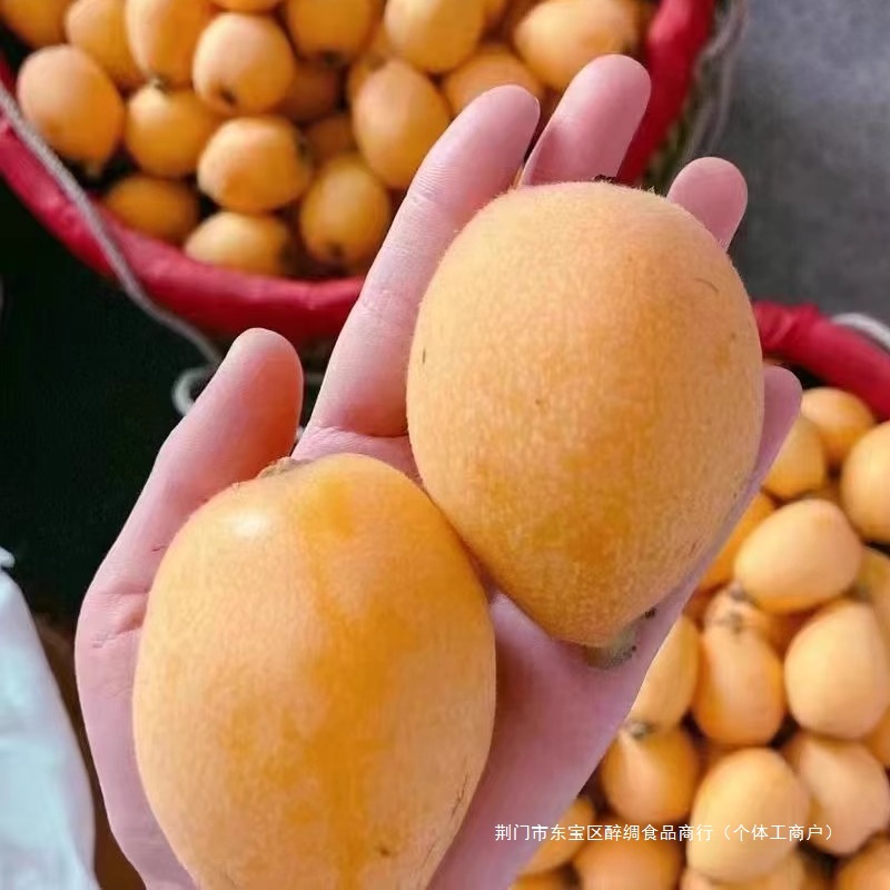 Sf Express Free Shipping Fresh Large Loquat Fruit 2.5kg Freshly Picked Seasonal Fruit for Pregnant Women Putian Shufeng Pipa Whole Box 3